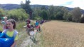 /album/fotogalerie-cichorice-2017-7-den/a20170721-160455-jpg1/